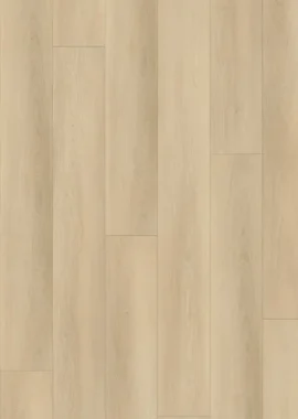 Brandy WD-2 з підкладкою